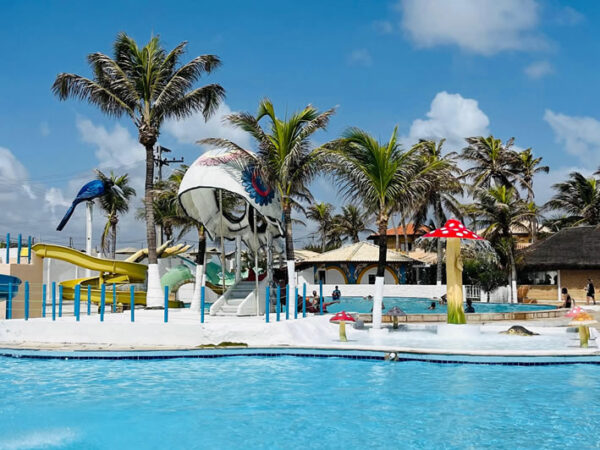 Combo Diversão no Ytacaranha Park com 02 Entradas + Tilápia completa ou Carne de Sol completa + Acesso ao Park Aquático de R$219,90 por apenas R$169,90. - Imagem 9