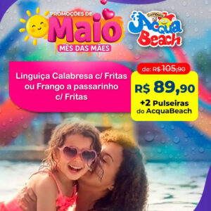 CALABRESA COM FRITAS OU FRANGO A PASSARINHA COM FRITAS + 2 PULSEIRAS PARQUE AQUÁTICO DE 105,90 POR 89,90